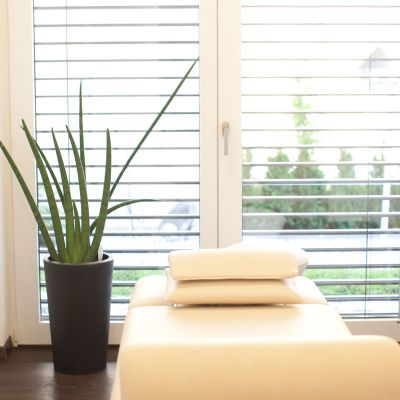 Moderne Arztpraxis mit Aloe Vera Pflanze und Tageslicht